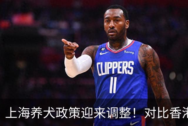 上海养犬政策迎来调整！对比香港，两者差距到底在哪？