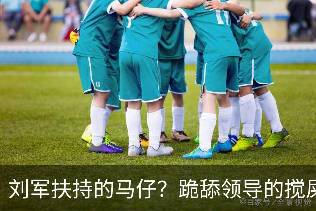 刘军扶持的马仔？跪舔领导的搅屎棍！W总把新江苏队搞的乌烟瘴气