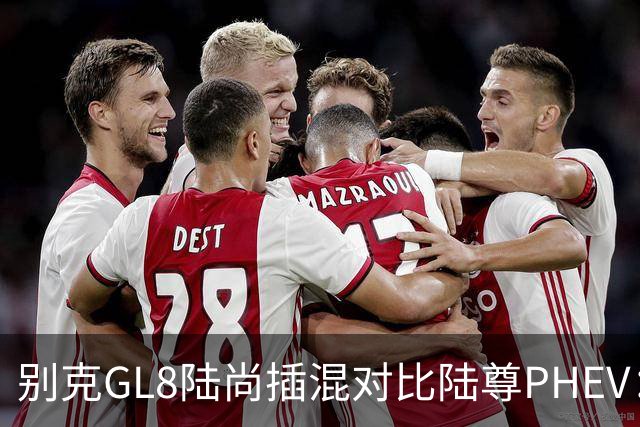 别克GL8陆尚插混对比陆尊PHEV：价格腰斩后的MPV新组合