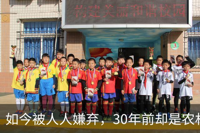 如今被人人嫌弃，30年前却是农村香饽饽，为何如今仍然大量养殖