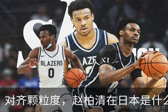 对齐颗粒度，赵柏清在日本是什么水平？