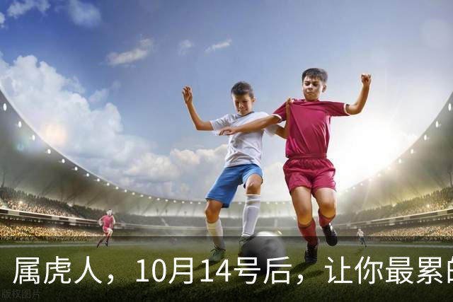 属虎人，10月14号后，让你最累的，往往不是事，而是身边的人