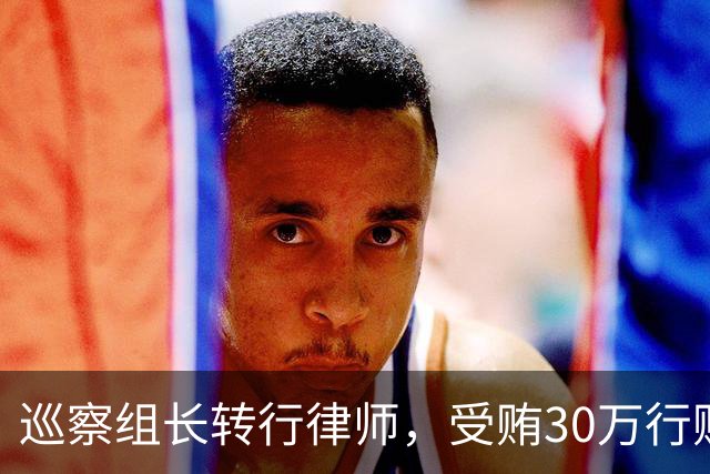 巡察组长转行律师，受贿30万行贿145万，被判4年半