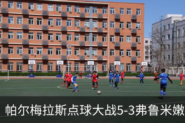帕尔梅拉斯点球大战5-3弗鲁米嫩塞，总比分7-5晋级解放者杯决赛