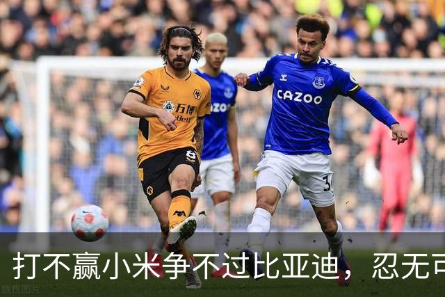 打不赢小米争不过比亚迪，忍无可忍的赛力斯，甩开华为自己干？