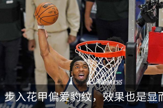 步入花甲偏爱豹纹，效果也是显而易见的！