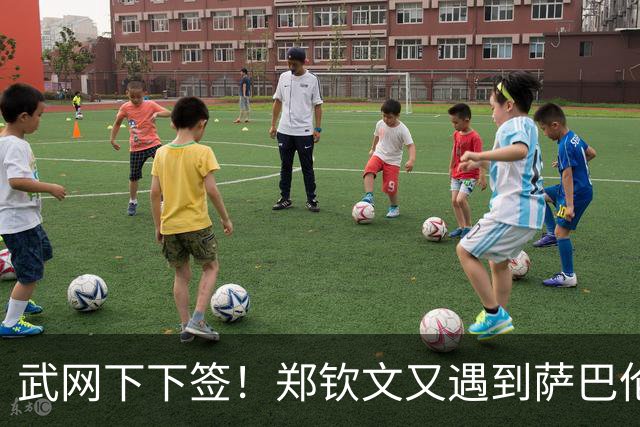 武网下下签！郑钦文又遇到萨巴伦卡，球迷提议：中网夺冠就退赛吧