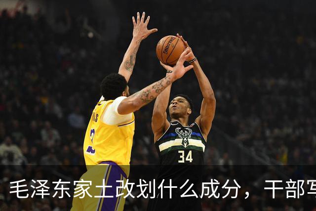 毛泽东家土改划什么成分，干部写信请示，主席派毛岸青带来三条嘱咐