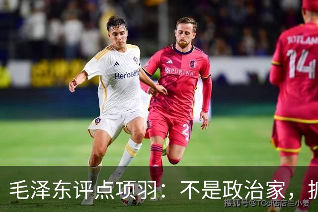 毛泽东评点项羽：不是政治家，抓不住主要矛盾，但要学他的英雄气节