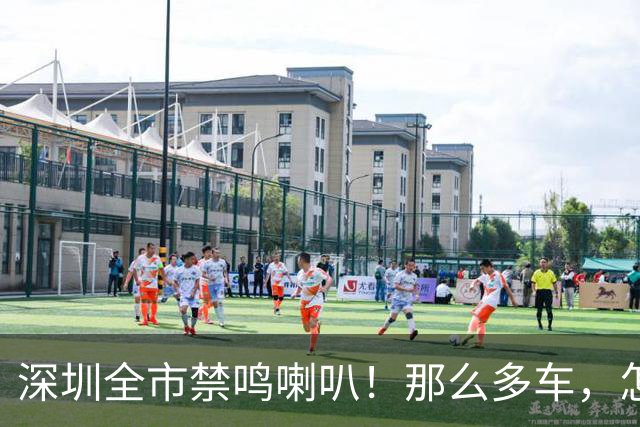 深圳全市禁鸣喇叭！那么多车，怎么知道是谁按的？