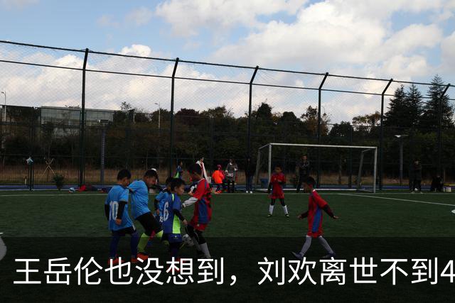王岳伦也没想到，刘欢离世不到48小时，李湘仅凭一个举动口碑暴涨