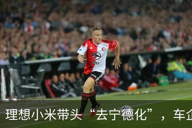 理想小米带头“去宁德化”，车企集体掀桌子不是因为价格