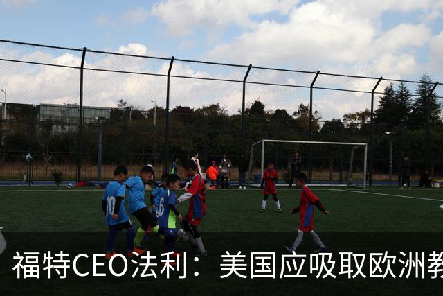福特CEO法利：美国应吸取欧洲教训，审慎对待中国车企入美