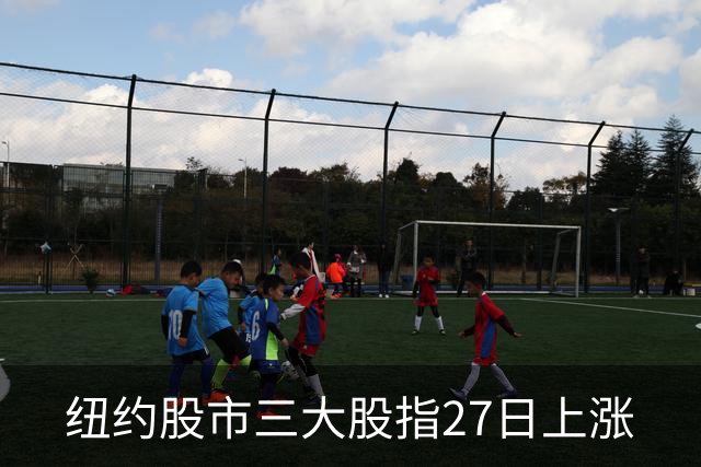纽约股市三大股指27日上涨