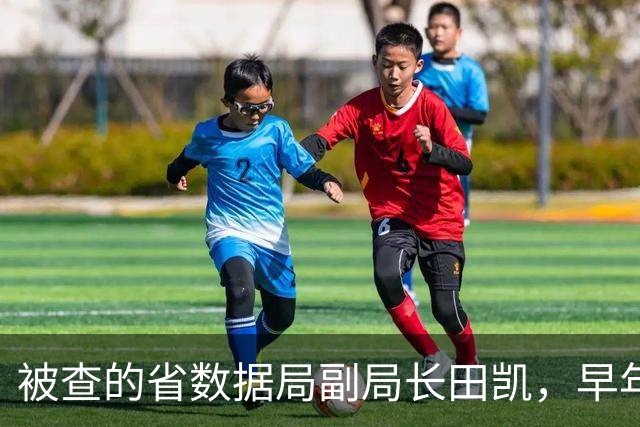 被查的省数据局副局长田凯，早年北海道大学博士研究日本经济？纯属同名误读，乱用AI写作离了大谱！