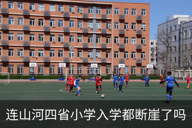 连山河四省小学入学都断崖了吗