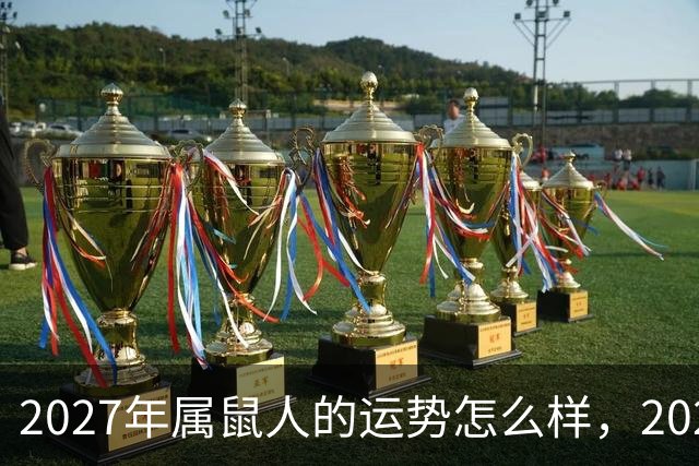 2027年属鼠人的运势怎么样，2027年生肖属鼠人的运势及运程详解