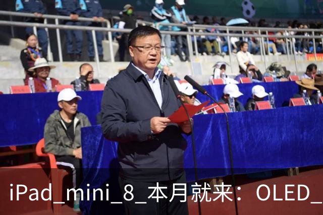 iPad mini 8 本月就来：OLED + A20 Pro + 12GB